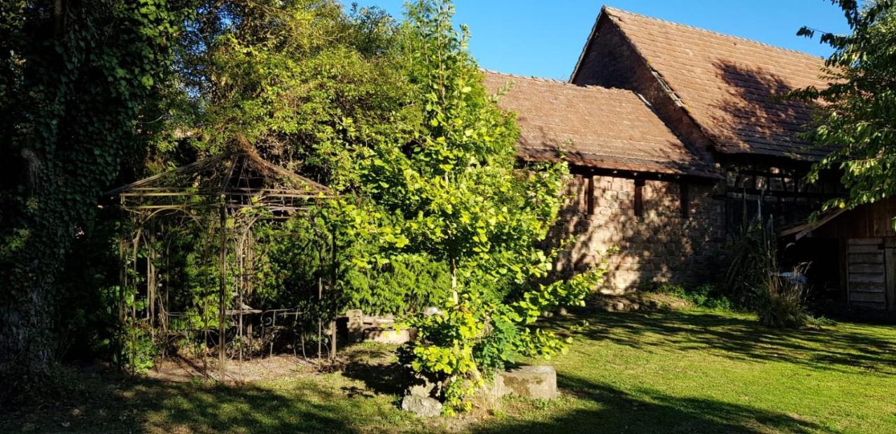 Gite A La Petite Fontaine-Plain Pied-Maison Alsacienne Renovee Avec Passion-4 Pers-4Nuitees Minimum Langensoultzbach Exterior foto